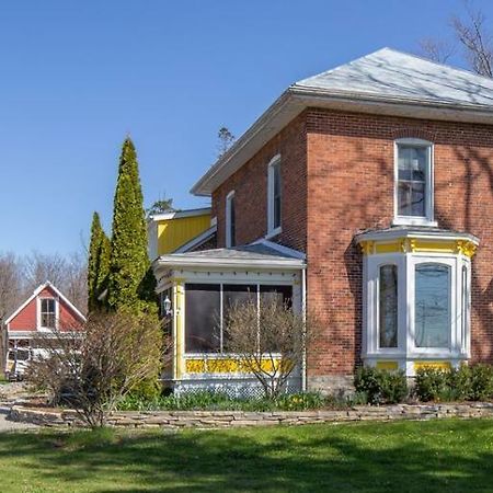 Our Space The Perfect Place B&B Picton Extérieur photo