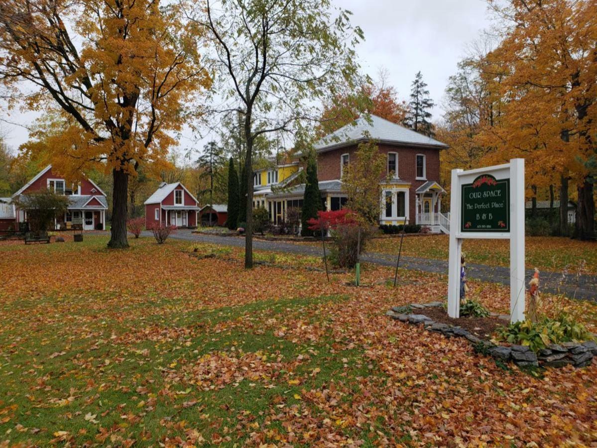 Our Space The Perfect Place B&B Picton Extérieur photo